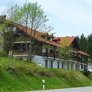 Appartementhotel Mitterdorf 3*, Mitterfirmiansreut Deutschland